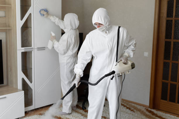 Mold Removal and Inspection in Mannington, WV