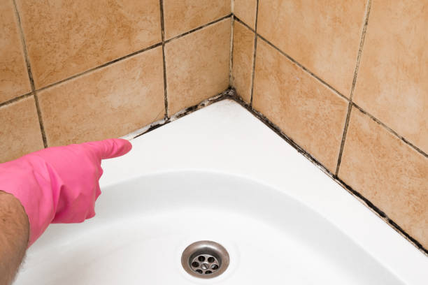Best Mold Testing  in Mannington, WV